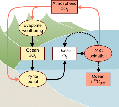 Feedback diagram illustrating the effects of evaporite weathering on ocean oxygenation