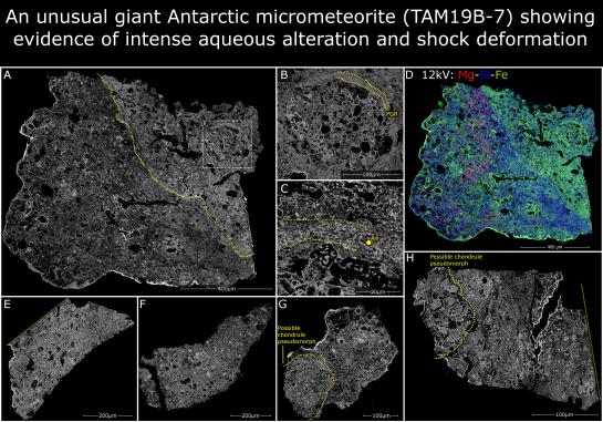 Fig_1_TAM19B-7