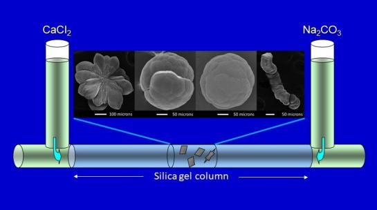 Crystallization in gels