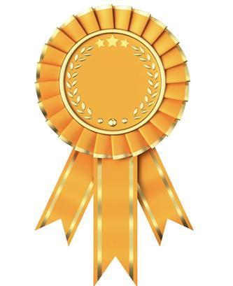 Award_3.jpg
