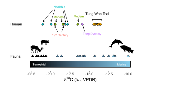 Fig1_Carbon_VUB.png