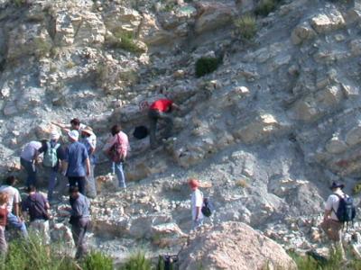 Geol_Exp